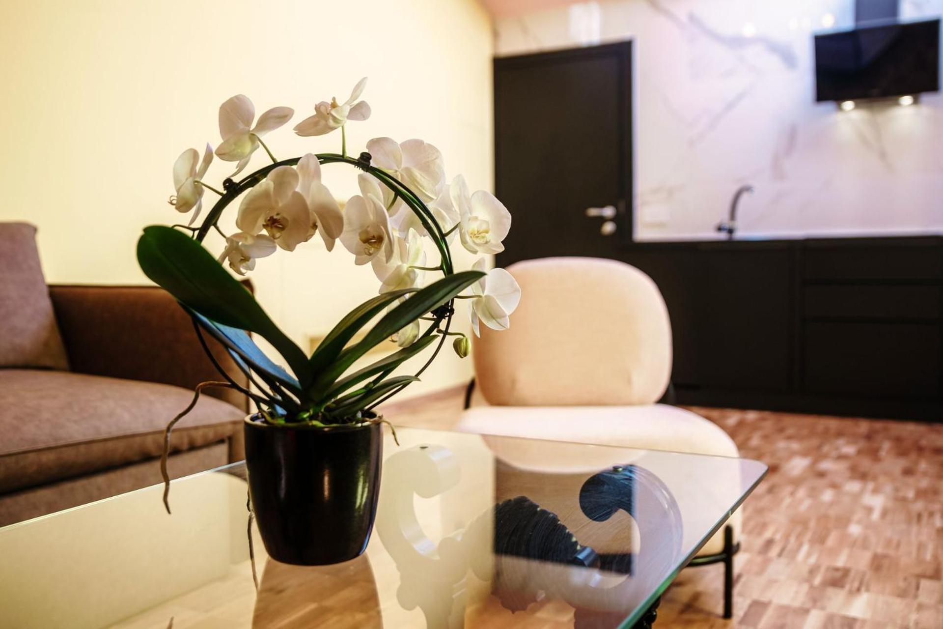 Aurum - Como Luxury Suites Pokój zdjęcie